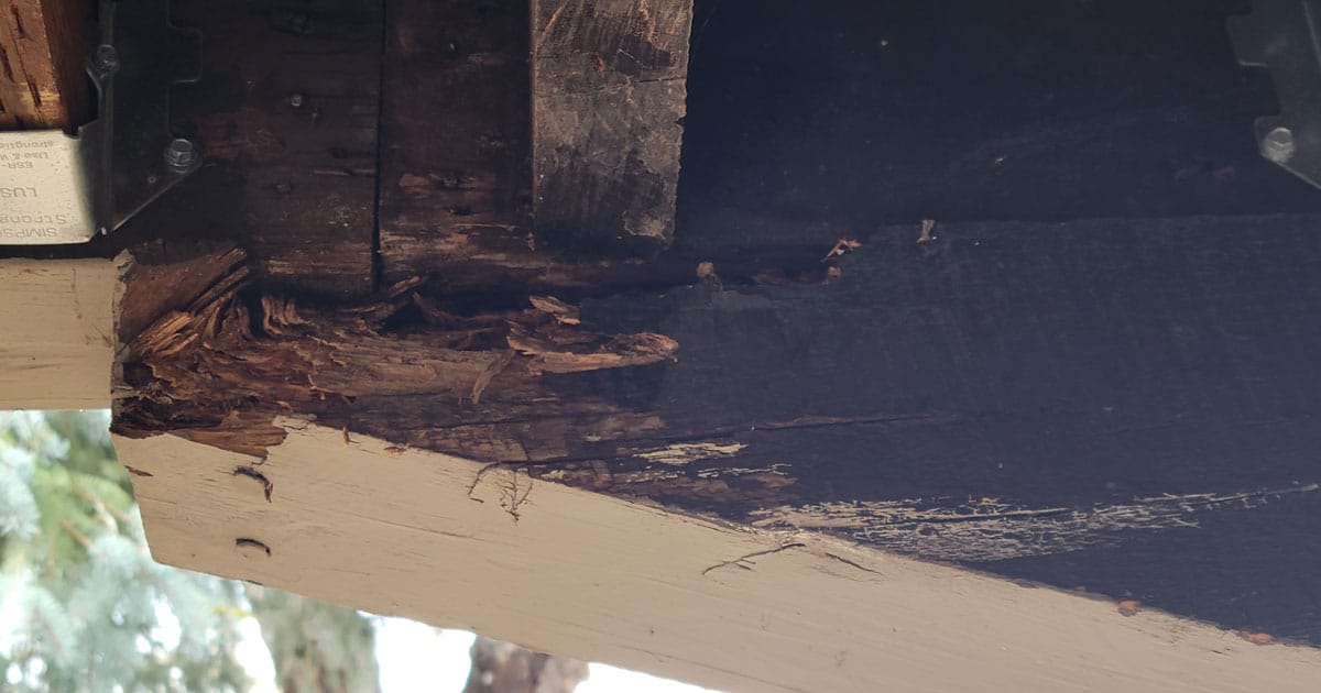 Photo of water damaged porch due to snow