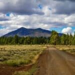 dirt road and trees with a view of Humphreys in Flagstaff, AZ